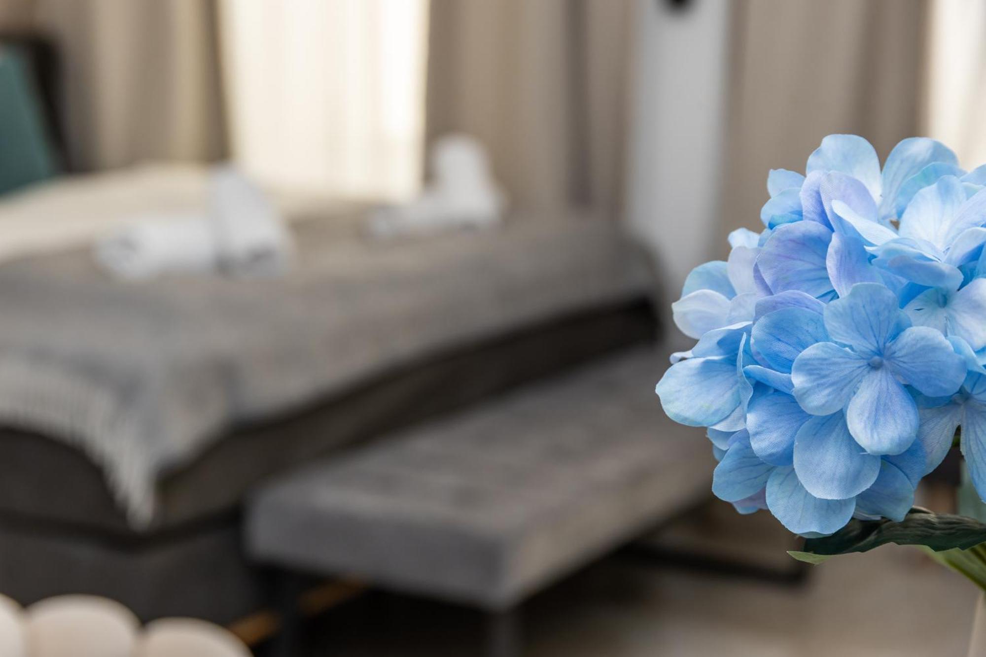 Apartment Boutique Near Centre *