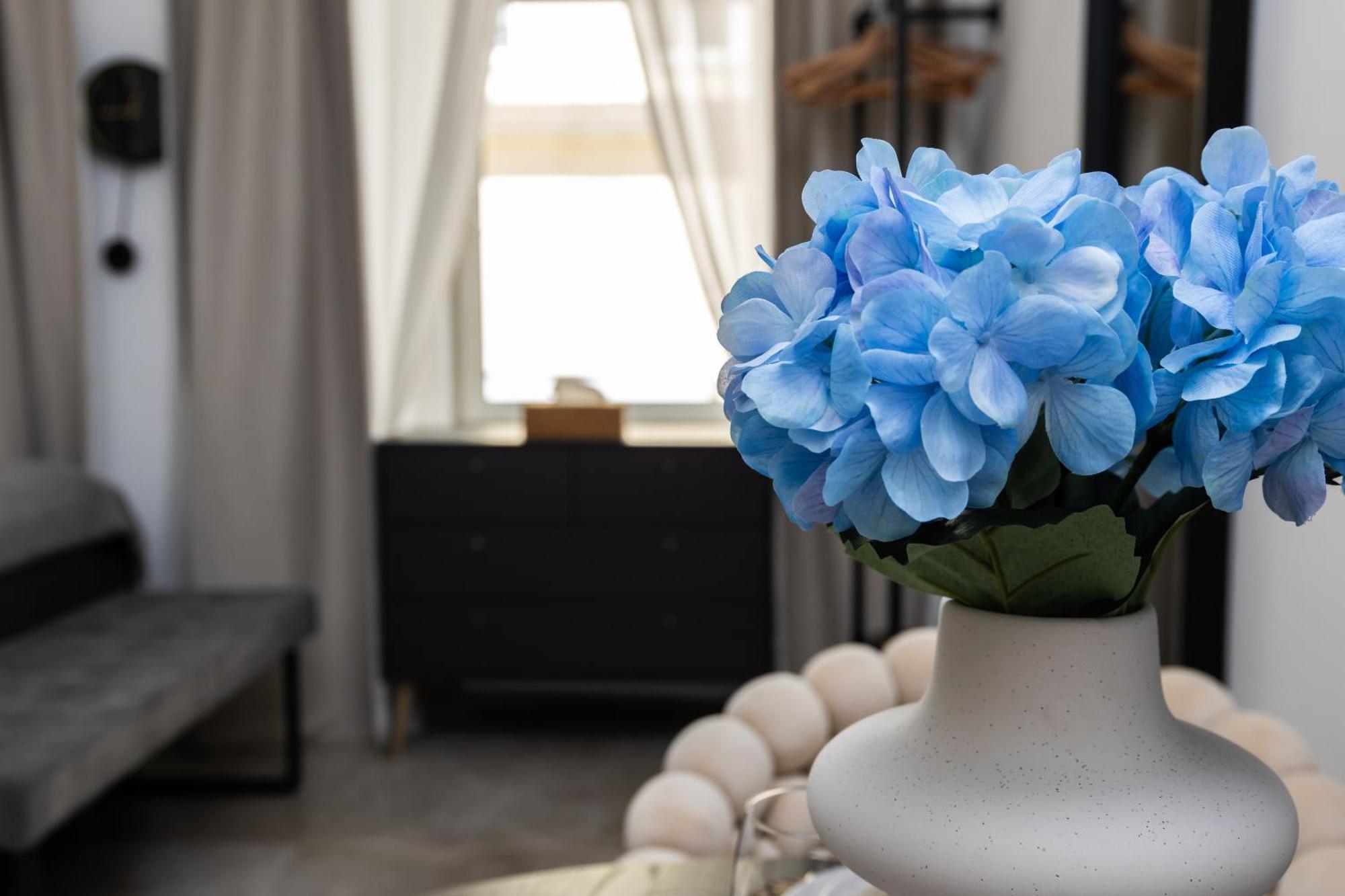 Apartment Boutique Near Centre Vienna